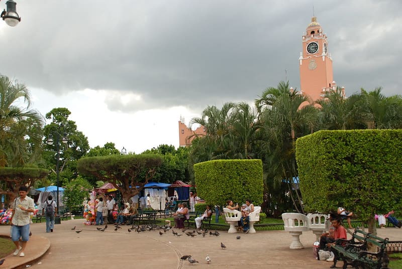 מרידה מקסיקו