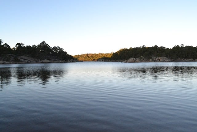 צ'יוואווה מקסיקו