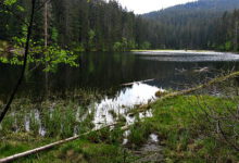 פארק לאומי שומבה בצ'כיה