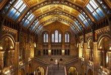 מוזיאון הטבע בלונדון - כל המידע