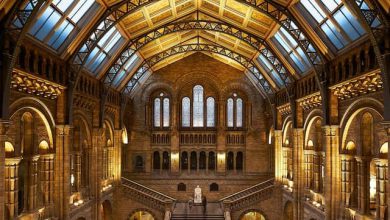 מוזיאון הטבע בלונדון - כל המידע